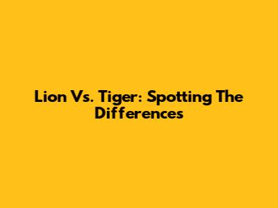 Lion Vs. Tiger: Spotting The Differences