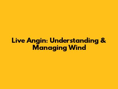 Live Angin: Understanding & Managing Wind