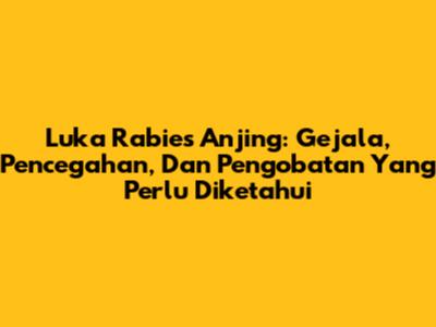 Luka Rabies Anjing: Gejala, Pencegahan, Dan Pengobatan Yang Perlu Diketahui