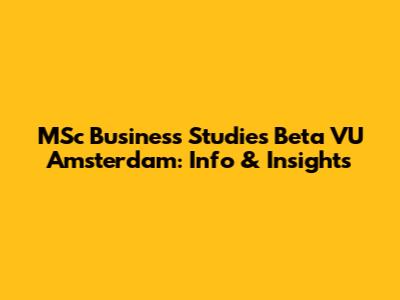 MSc Business Studies Beta VU Amsterdam: Info & Insights