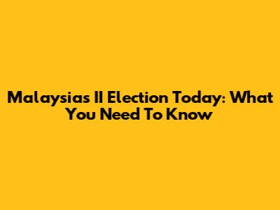 Malaysia's II Election Today: What You Need To Know