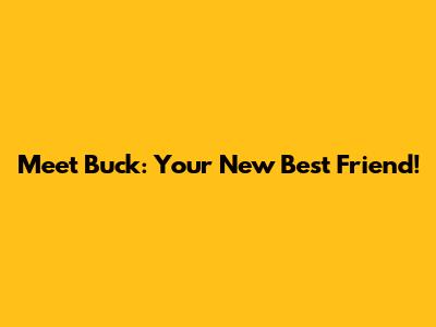 Meet Buck: Your New Best Friend!