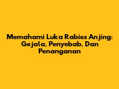 Memahami Luka Rabies Anjing: Gejala, Penyebab, Dan Penanganan