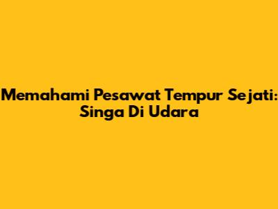 Memahami Pesawat Tempur Sejati: Singa Di Udara