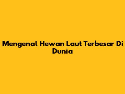 Mengenal Hewan Laut Terbesar Di Dunia