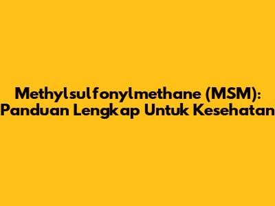 Methylsulfonylmethane (MSM): Panduan Lengkap Untuk Kesehatan