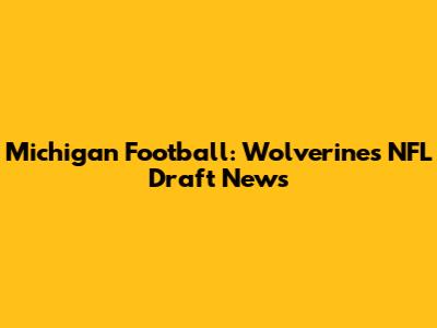 Michigan Football: Wolverines NFL Draft News
