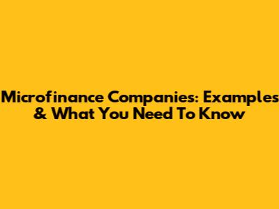 Microfinance Companies: Examples & What You Need To Know