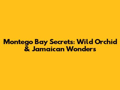 Montego Bay Secrets: Wild Orchid & Jamaican Wonders