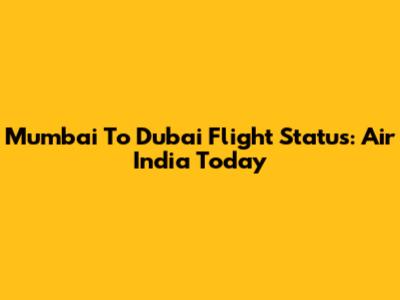 Mumbai To Dubai Flight Status: Air India Today