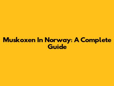 Muskoxen In Norway: A Complete Guide