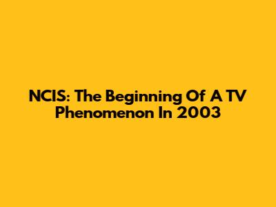 NCIS: The Beginning Of A TV Phenomenon In 2003