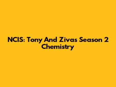 NCIS: Tony And Ziva's Season 2 Chemistry
