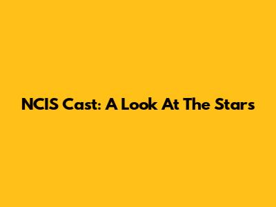 NCIS Cast: A Look At The Stars