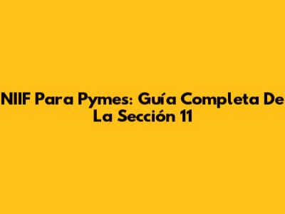 NIIF Para Pymes: Guía Completa De La Sección 11