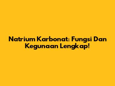 Natrium Karbonat: Fungsi Dan Kegunaan Lengkap!