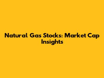 Natural Gas Stocks: Market Cap Insights