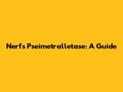 Nerf's Pseimetralletase: A Guide