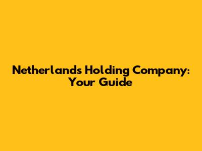 Netherlands Holding Company: Your Guide