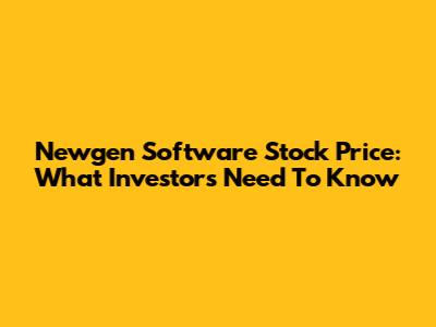 Newgen Software Stock Price: What Investors Need To Know