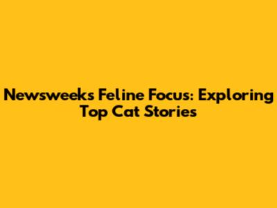 Newsweek's Feline Focus: Exploring Top Cat Stories
