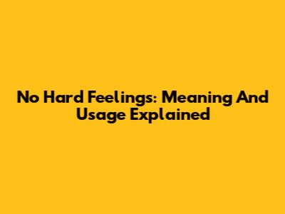 No Hard Feelings: Meaning And Usage Explained