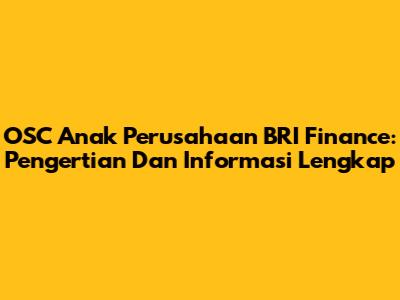 OSC Anak Perusahaan BRI Finance: Pengertian Dan Informasi Lengkap