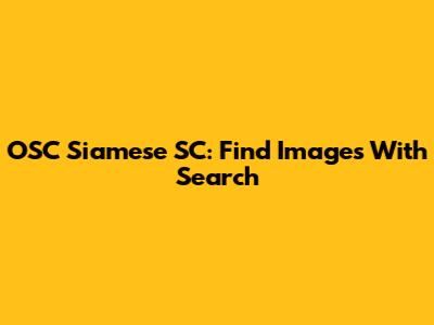 OSC Siamese SC: Find Images With Search