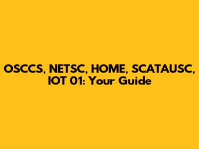 OSCCS, NETSC, HOME, SCATAUSC, IOT 01: Your Guide