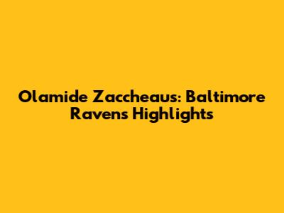 Olamide Zaccheaus: Baltimore Ravens Highlights