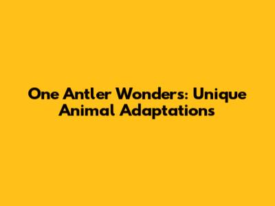 One Antler Wonders: Unique Animal Adaptations