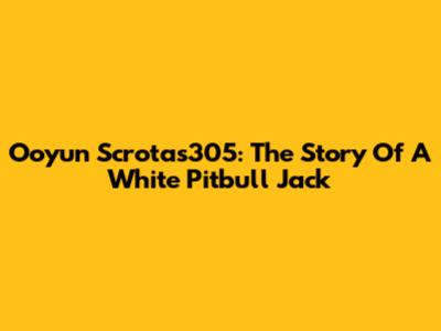 Ooyun Scrotas305: The Story Of A White Pitbull Jack