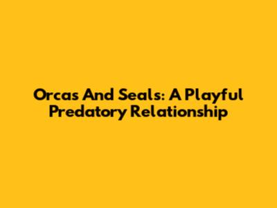 Orcas And Seals: A Playful Predatory Relationship