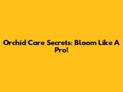 Orchid Care Secrets: Bloom Like A Pro!
