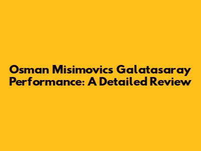 Osman Misimovic's Galatasaray Performance: A Detailed Review