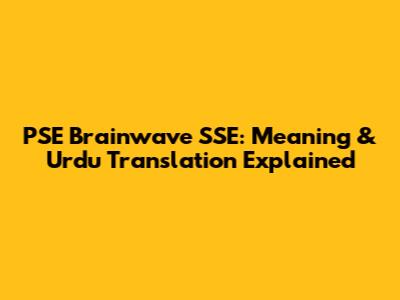 PSE Brainwave SSE: Meaning & Urdu Translation Explained