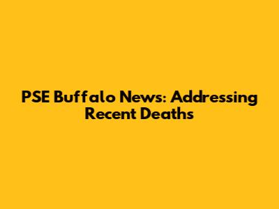 PSE Buffalo News: Addressing Recent Deaths
