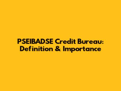 PSEIBADSE Credit Bureau: Definition & Importance