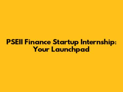 PSEII Finance Startup Internship: Your Launchpad