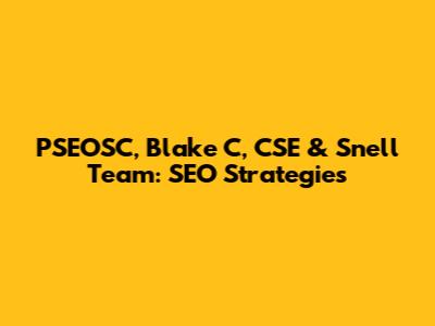 PSEOSC, Blake C, CSE & Snell Team: SEO Strategies