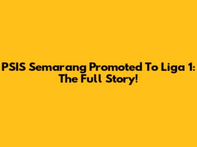 PSIS Semarang Promoted To Liga 1: The Full Story!