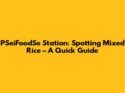 PSeiFoodSe Station: Spotting Mixed Rice – A Quick Guide