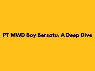 PT MWD Boy Bersatu: A Deep Dive