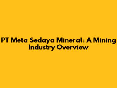 PT Meta Sedaya Mineral: A Mining Industry Overview