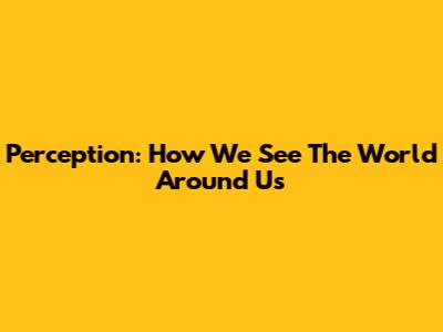 Perception: How We See The World Around Us