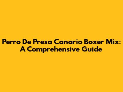 Perro De Presa Canario Boxer Mix: A Comprehensive Guide