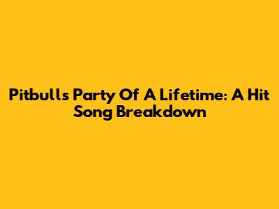 Pitbull's 'Party Of A Lifetime': A Hit Song Breakdown