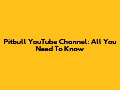 Pitbull YouTube Channel: All You Need To Know