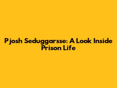 Pjosh Seduggarsse: A Look Inside Prison Life