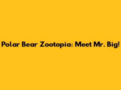Polar Bear Zootopia: Meet Mr. Big!